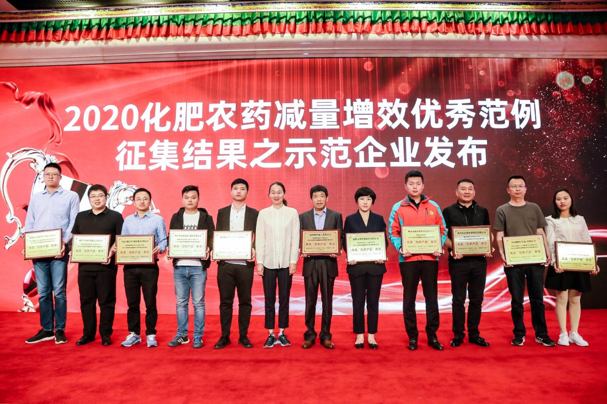 图片1 “示范企业”获奖合照 加拿大pc28预测副总裁包雪梅领奖左四.jpg