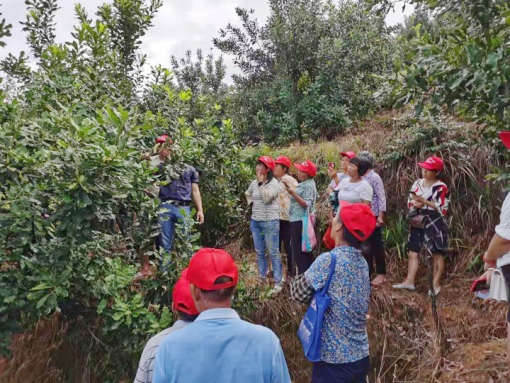 图2-2，园区观摩和果农们拍照学习_副本.jpg