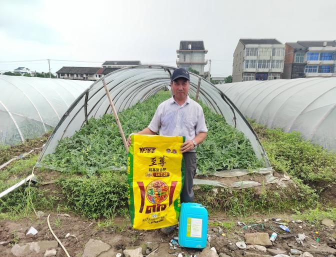 洋丰至尊葡萄、西瓜示范施肥现场照片2.jpg